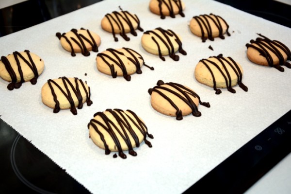 Galletas de naranja con chocolate